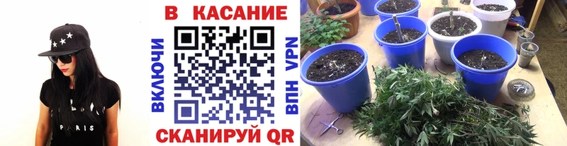 Купить Alpha-PVP  COCAIN  Гашиш  Меф мяу мяу  Галлюциногенные грибы  Канабис  Сухой Лог