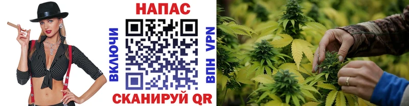 Купить  Сухой Лог  Шишки марихуана OG Kush 
